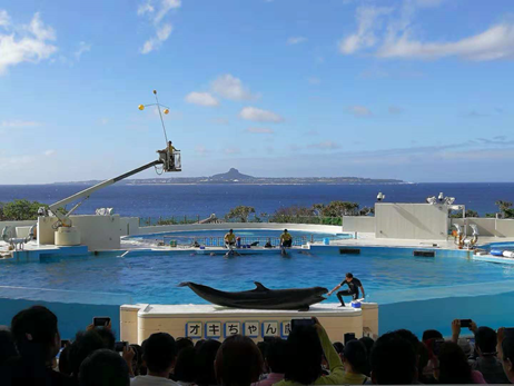 1573035235798820.png image.png